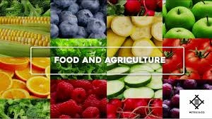 Agriculture & Food